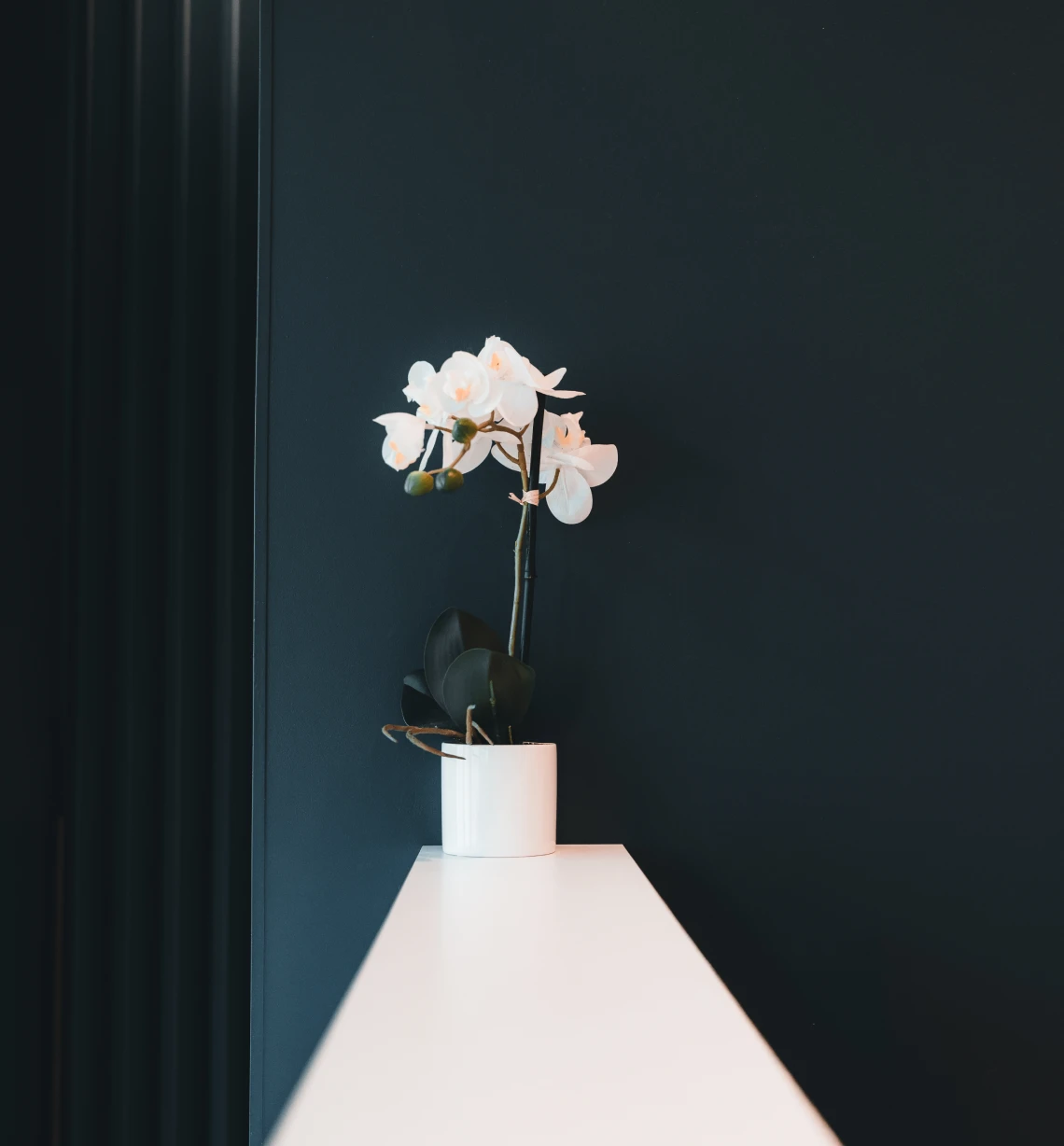 cabinet eora dentistes montagny Chirugie orale : conseils pré-opératoires Cabinet dentaire EORA