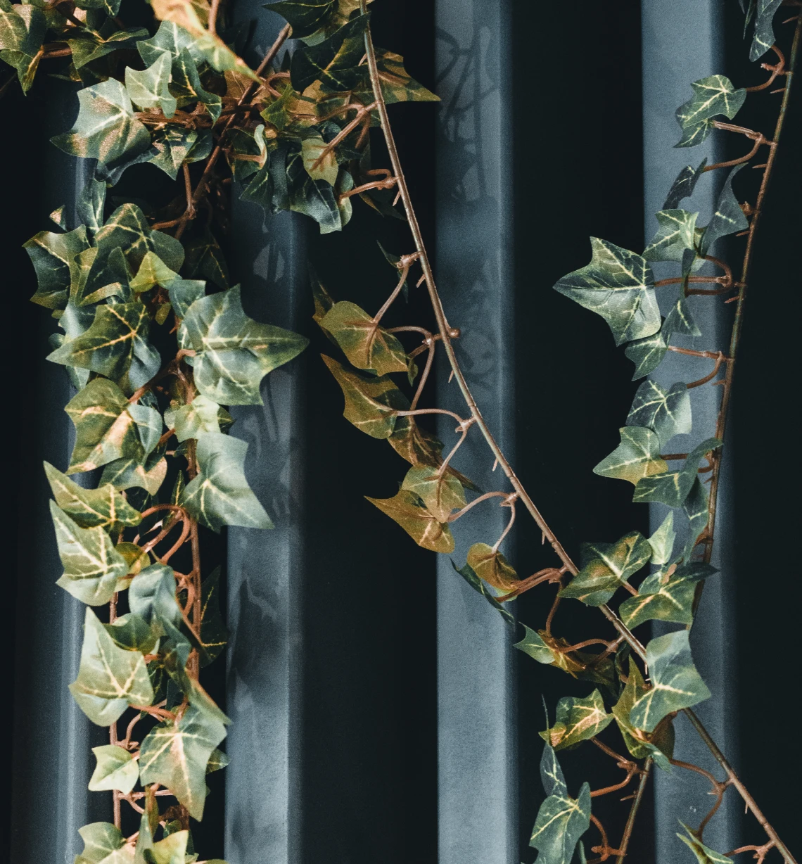 montagny cabinet dentaire eora Nos conseils post-opératoires Cabinet dentaire EORA