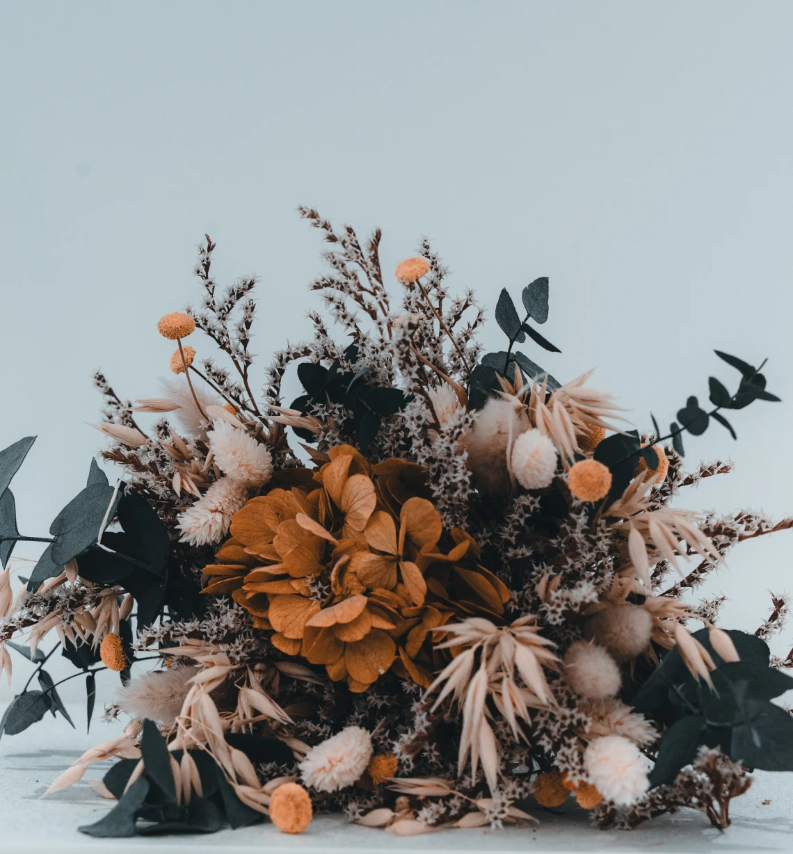 montagny cabinet eora Hygiène bucco-dentaire Cabinet dentaire EORA